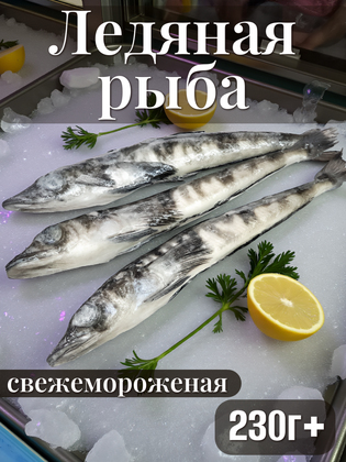 Ледяная рыба свежемороженая, целая, IQF, 230г+, Китай, 1 кг