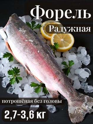 Форель радужная потрошёная без головы 2,7-3,6 кг, Турция, 1 кг