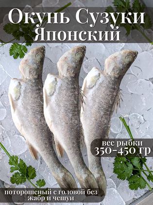 Окунь морской японский (Сузуки), потрошёный с головой (без жабр и чешуи), свежезамороженный, 350–450 г