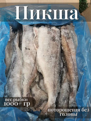 Пикша потрошеная без головы замороженная, размер 1+ кг